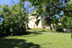Lofstad_slott_med_Peter-INSTAGRAM010