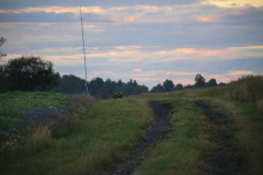 IMG_3375