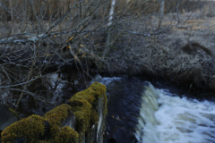 MG_3142