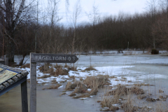 Svartåmynningens naturreservat (2024-02-18)