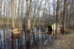 Trip till Hallstad ängar med mamma den 3 mars
